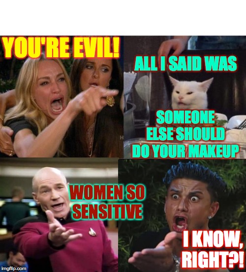 Maybe FEMA. | YOU'RE EVIL! ALL I SAID WAS; SOMEONE ELSE SHOULD DO YOUR MAKEUP; WOMEN SO SENSITIVE; I KNOW, RIGHT?! | image tagged in memes,woman yelling at cat,captain picard facepalm,dj pauly d,kiss and makeup,fema | made w/ Imgflip meme maker