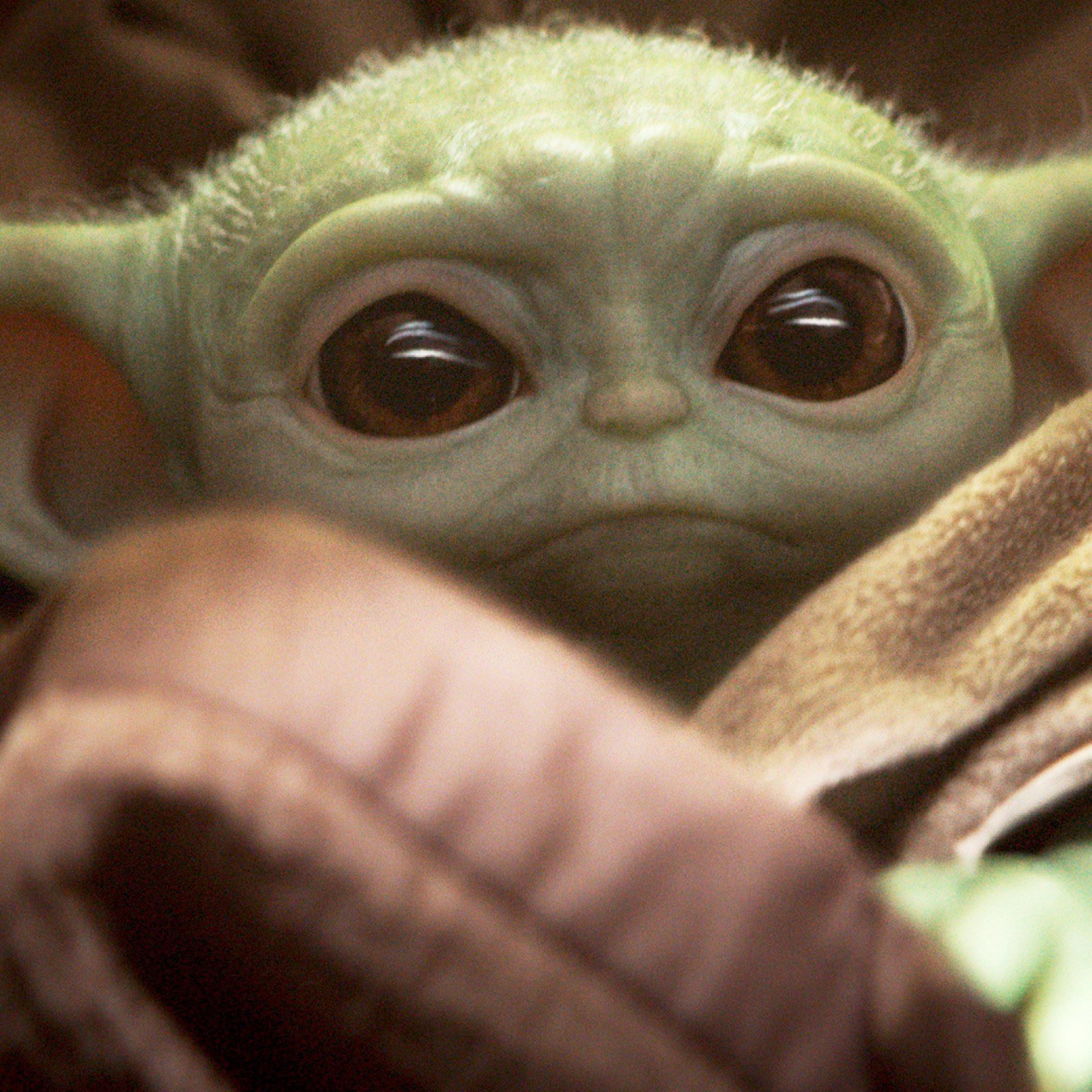 Baby Yoda Blank Meme Template