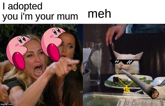 Woman Yelling At Cat | I adopted you i'm your mum; meh | image tagged in memes,woman yelling at cat | made w/ Imgflip meme maker