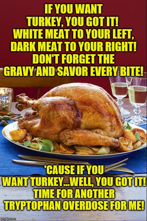 Happy Thanksgiving: AC/DC Style | IF YOU WANT TURKEY, YOU GOT IT! 
WHITE MEAT TO YOUR LEFT, DARK MEAT TO YOUR RIGHT!
DON'T FORGET THE GRAVY AND SAVOR EVERY BITE! 'CAUSE IF YOU WANT TURKEY...WELL, YOU GOT IT!

TIME FOR ANOTHER TRYPTOPHAN OVERDOSE FOR ME! | image tagged in thanksgiving | made w/ Imgflip meme maker