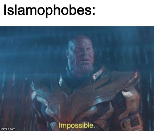 Thanos Impossible | Islamophobes: | image tagged in thanos impossible | made w/ Imgflip meme maker