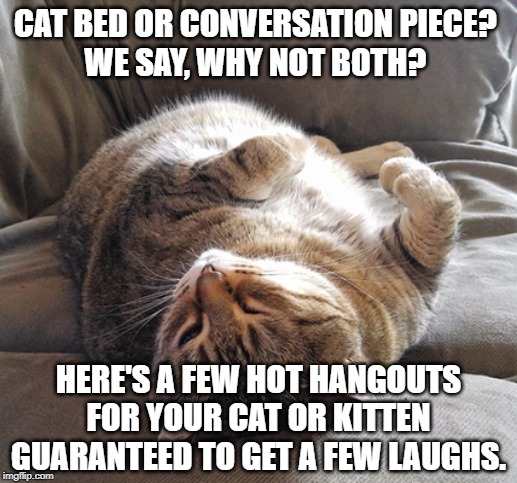 cats crazy bed | CAT BED OR CONVERSATION PIECE? 
WE SAY, WHY NOT BOTH? HERE'S A FEW HOT HANGOUTS FOR YOUR CAT OR KITTEN GUARANTEED TO GET A FEW LAUGHS. | image tagged in cat | made w/ Imgflip meme maker