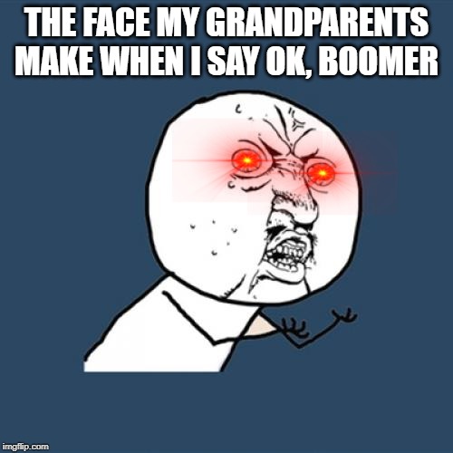 Y U No Meme | THE FACE MY GRANDPARENTS MAKE WHEN I SAY OK, BOOMER | image tagged in memes,y u no | made w/ Imgflip meme maker