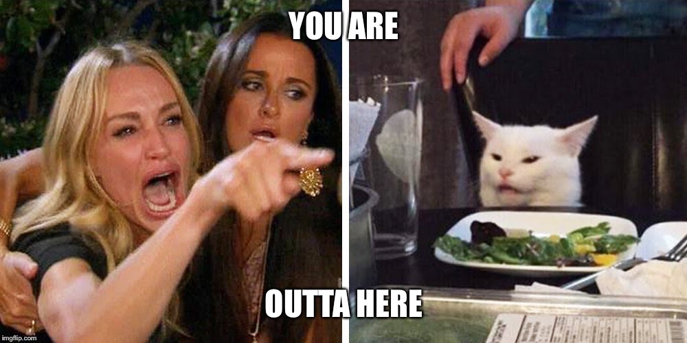 Smudge the cat | YOU ARE; OUTTA HERE | image tagged in smudge the cat | made w/ Imgflip meme maker