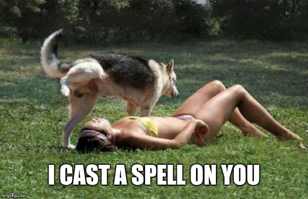 Dog Pees on Girl | I CAST A SPELL ON YOU | image tagged in dog pees on girl | made w/ Imgflip meme maker