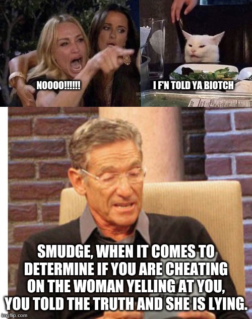 NOOOO!!!!!!                                         I F'N TOLD YA BIOTCH; SMUDGE, WHEN IT COMES TO DETERMINE IF YOU ARE CHEATING ON THE WOMAN YELLING AT YOU, YOU TOLD THE TRUTH AND SHE IS LYING. | image tagged in maury the results are in,woman yelling at cat | made w/ Imgflip meme maker