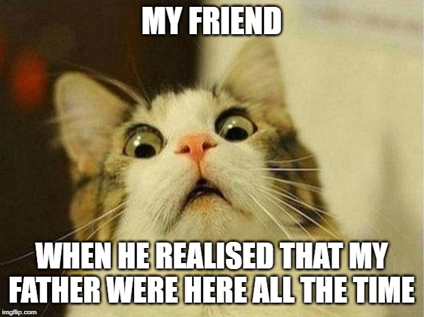 Scared Cat Meme | MY FRIEND; WHEN HE REALISED THAT MY FATHER WERE HERE ALL THE TIME | image tagged in memes,scared cat | made w/ Imgflip meme maker