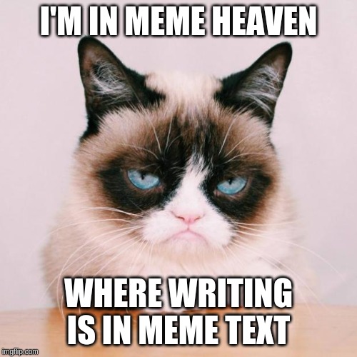 grumpy cat again | I'M IN MEME HEAVEN; WHERE WRITING IS IN MEME TEXT | image tagged in grumpy cat again | made w/ Imgflip meme maker