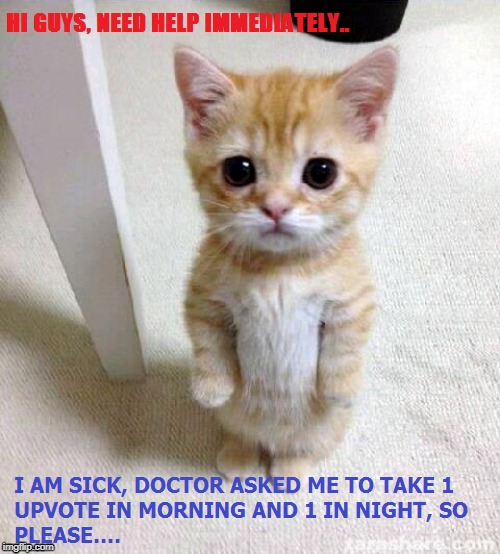 cat needs help | image tagged in cats | made w/ Imgflip meme maker