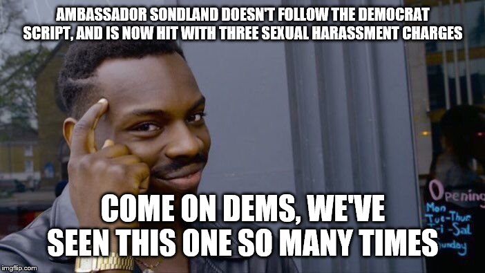 Roll Safe Think About It Meme | AMBASSADOR SONDLAND DOESN'T FOLLOW THE DEMOCRAT SCRIPT, AND IS NOW HIT WITH THREE SEXUAL HARASSMENT CHARGES; COME ON DEMS, WE'VE SEEN THIS ONE SO MANY TIMES | image tagged in memes,roll safe think about it | made w/ Imgflip meme maker
