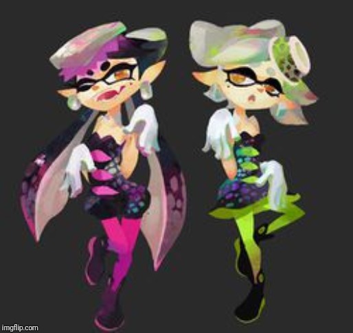 Squid Sisters | image tagged in squid sisters | made w/ Imgflip meme maker