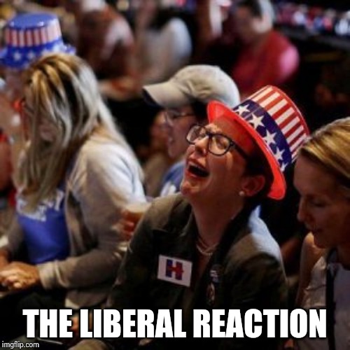 Crying Liberal | THE LIBERAL REACTION | image tagged in crying liberal | made w/ Imgflip meme maker