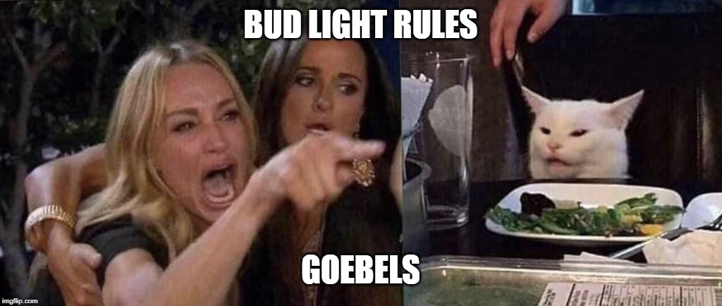 woman yelling at cat | BUD LIGHT RULES; GOEBELS | image tagged in woman yelling at cat | made w/ Imgflip meme maker