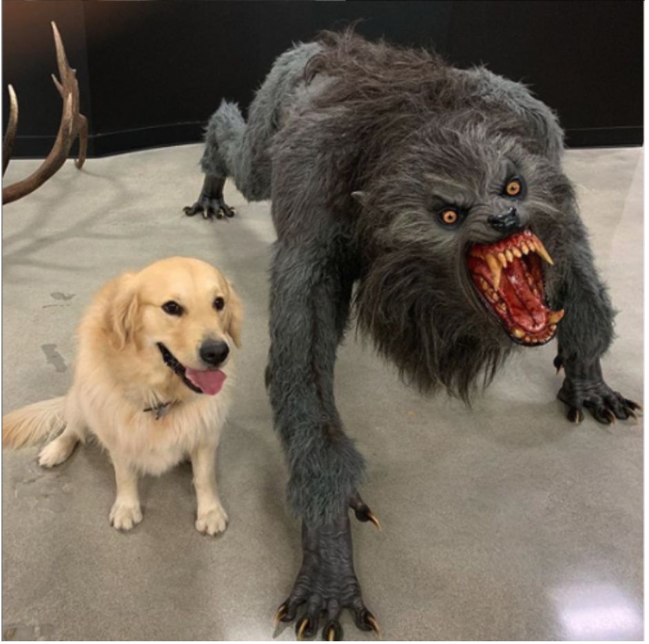 Dog and werewolf Blank Meme Template