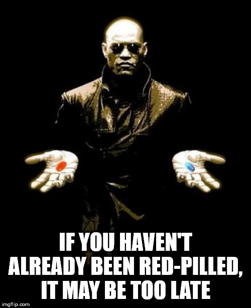 Blue Pill Red Pill | IF YOU HAVEN'T ALREADY BEEN RED-PILLED, IT MAY BE TOO LATE | image tagged in blue pill red pill | made w/ Imgflip meme maker