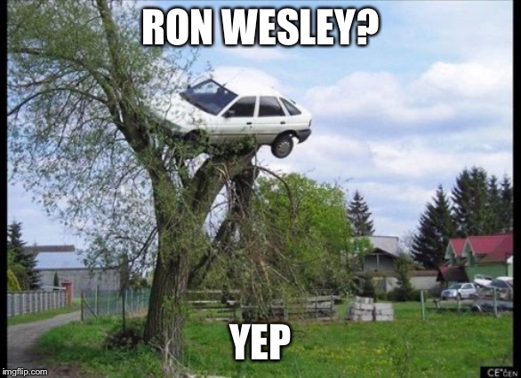 Secure Parking | RON WESLEY? YEP | image tagged in memes,secure parking | made w/ Imgflip meme maker
