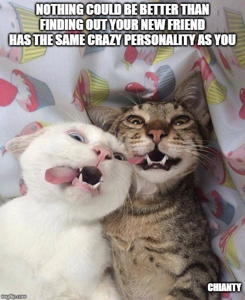 Friend | NOTHING COULD BE BETTER THAN FINDING OUT YOUR NEW FRIEND HAS THE SAME CRAZY PERSONALITY AS YOU; CHIANTY | image tagged in personality | made w/ Imgflip meme maker