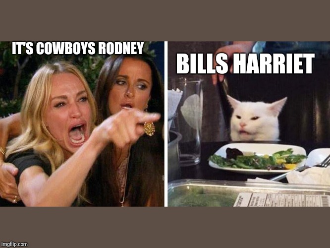 Smudge the cat | IT'S COWBOYS RODNEY; BILLS HARRIET | image tagged in smudge the cat | made w/ Imgflip meme maker