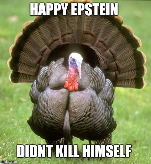Turkey Meme | HAPPY EPSTEIN; DIDNT KILL HIMSELF | image tagged in memes,turkey | made w/ Imgflip meme maker