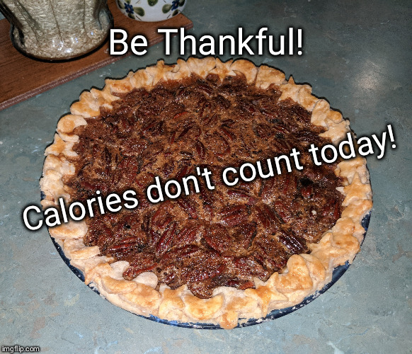 Thanksgiving | Be Thankful! Calories don't count today! | image tagged in thanksgiving,calories | made w/ Imgflip meme maker