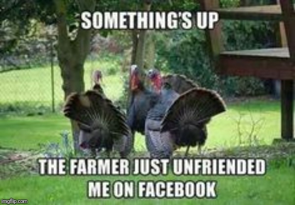 Shady friends | image tagged in turkeys,happy thanksgiving,thanksgiving,facebook,memes | made w/ Imgflip meme maker
