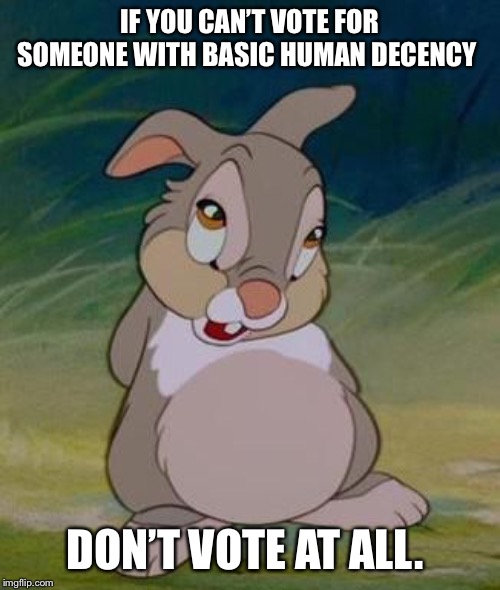 Thumper | IF YOU CAN’T VOTE FOR SOMEONE WITH BASIC HUMAN DECENCY; DON’T VOTE AT ALL. | image tagged in thumper | made w/ Imgflip meme maker