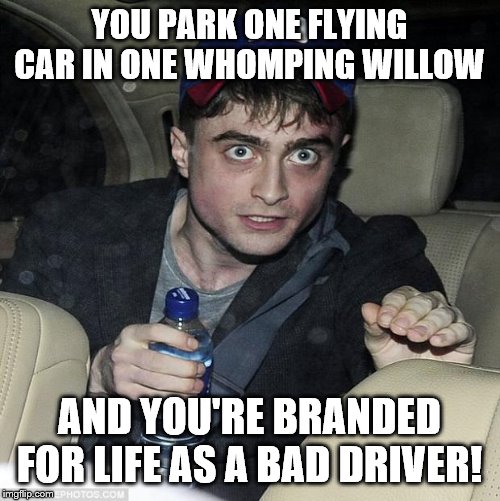 harry potter crazy | YOU PARK ONE FLYING CAR IN ONE WHOMPING WILLOW AND YOU'RE BRANDED FOR LIFE AS A BAD DRIVER! | image tagged in harry potter crazy | made w/ Imgflip meme maker