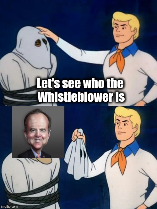 Scooby doo mask reveal | Let's see who the
 Whistleblower is | image tagged in scooby doo mask reveal | made w/ Imgflip meme maker