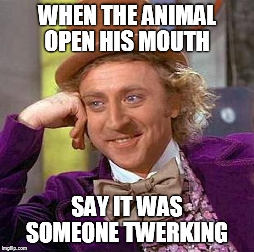 Creepy Condescending Wonka Meme | WHEN THE ANIMAL OPEN HIS MOUTH; SAY IT WAS SOMEONE TWERKING | image tagged in memes,creepy condescending wonka | made w/ Imgflip meme maker