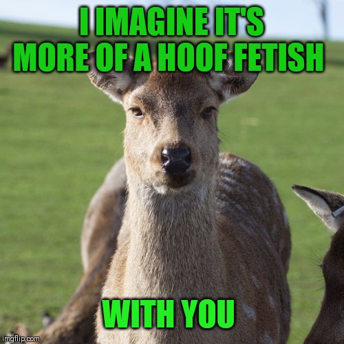 I IMAGINE IT'S MORE OF A HOOF FETISH WITH YOU | made w/ Imgflip meme maker