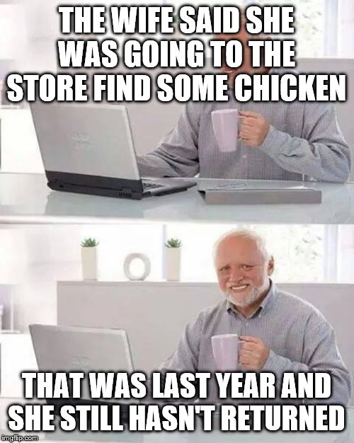 Maybe he should have realized it when she refer to a male chicken | THE WIFE SAID SHE WAS GOING TO THE STORE FIND SOME CHICKEN THAT WAS LAST YEAR AND SHE STILL HASN'T RETURNED | image tagged in memes,hide the pain harold | made w/ Imgflip meme maker