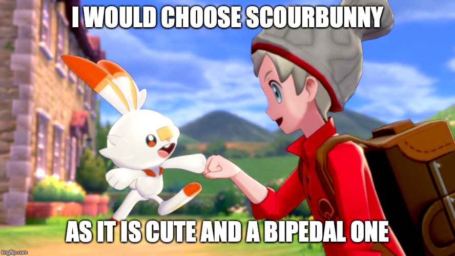 Trainer With Scourbenny | I WOULD CHOOSE SCOURBUNNY; AS IT IS CUTE AND A BIPEDAL ONE | image tagged in pokemon,scourbunny,memes | made w/ Imgflip meme maker