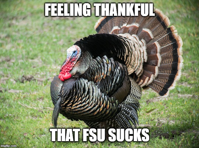FSUCKS | FEELING THANKFUL; THAT FSU SUCKS | image tagged in fsu,thanksgiving | made w/ Imgflip meme maker
