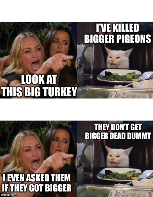 I’VE KILLED BIGGER PIGEONS; LOOK AT THIS BIG TURKEY; THEY DON’T GET BIGGER DEAD DUMMY; I EVEN ASKED THEM IF THEY GOT BIGGER | image tagged in memes,woman yelling at cat | made w/ Imgflip meme maker