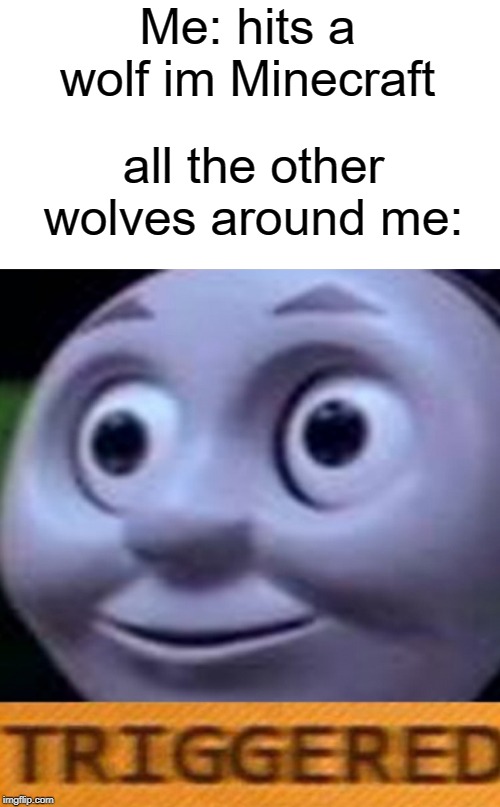 wolf | Me: hits a wolf im Minecraft; all the other wolves around me: | image tagged in triggered,thomas the tank engine,funny,memes,minecraft,wolves | made w/ Imgflip meme maker