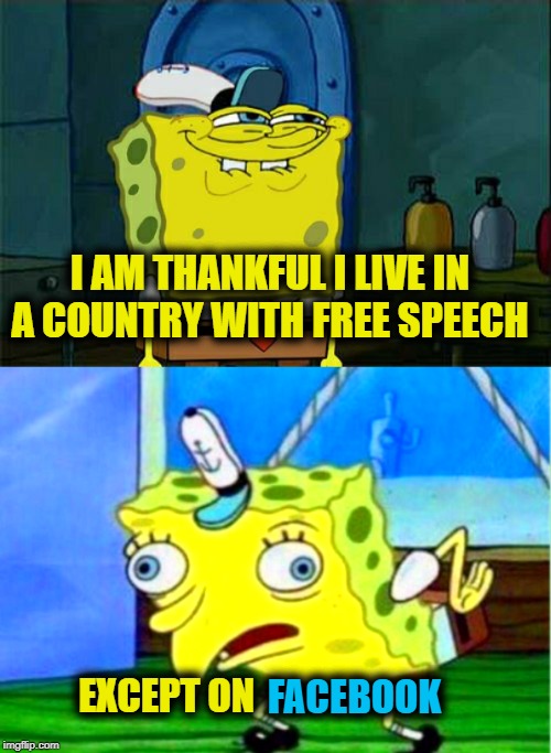 I AM THANKFUL I LIVE IN A COUNTRY WITH FREE SPEECH; EXCEPT ON; FACEBOOK | image tagged in dont you squidward,freespeech,facebook,illuminati confirmed,zuckerberg,shapeshifting lizard | made w/ Imgflip meme maker