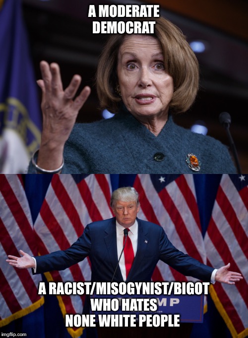 A MODERATE DEMOCRAT; A RACIST/MISOGYNIST/BIGOT WHO HATES NONE WHITE PEOPLE | image tagged in donald trump,good old nancy pelosi | made w/ Imgflip meme maker