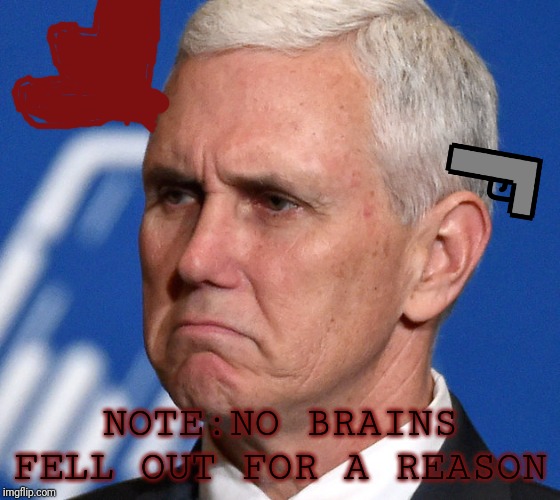 Mike Pence | NOTE:NO BRAINS FELL OUT FOR A REASON | image tagged in mike pence | made w/ Imgflip meme maker