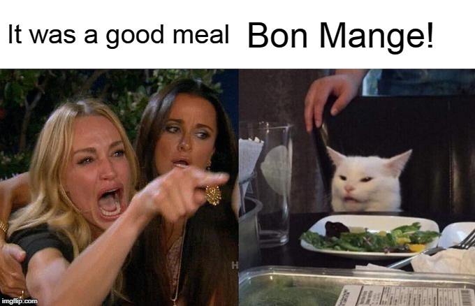 Happy Thanksgiving | It was a good meal; Bon Mange! | image tagged in woman yelling at cat,happy thanksgiving,thanksgiving,good memes,funny memes | made w/ Imgflip meme maker