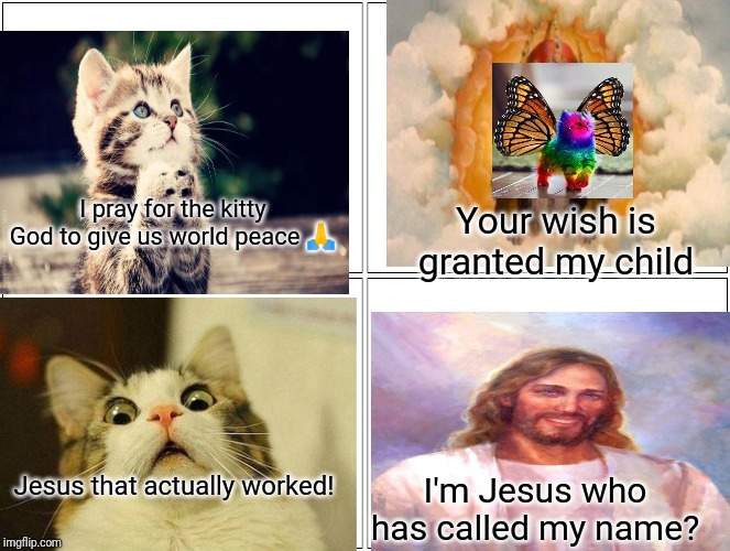 Blank Comic Panel 2x2 Meme | I pray for the kitty God to give us world peace 🙏; Your wish is granted my child; Jesus that actually worked! I'm Jesus who has called my name? | image tagged in memes,blank comic panel 2x2 | made w/ Imgflip meme maker