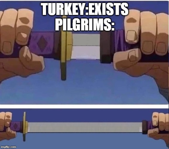sword | TURKEY:EXISTS
PILGRIMS: | image tagged in sword | made w/ Imgflip meme maker