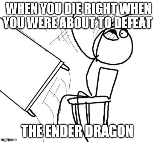 Table Flip Guy Meme | WHEN YOU DIE RIGHT WHEN YOU WERE ABOUT TO DEFEAT; THE ENDER DRAGON | image tagged in memes,table flip guy | made w/ Imgflip meme maker