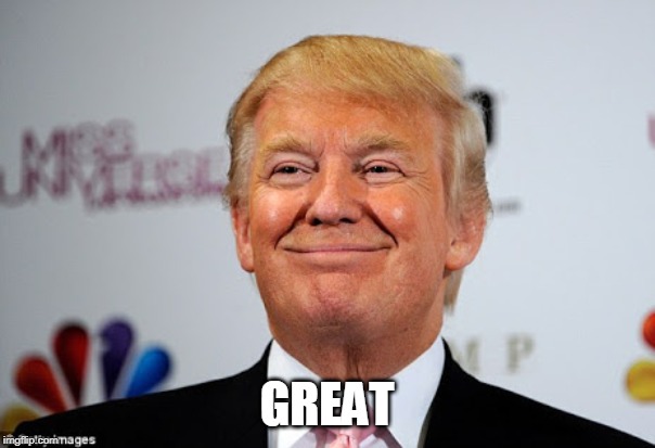 Donald trump approves | GREAT | image tagged in donald trump approves | made w/ Imgflip meme maker