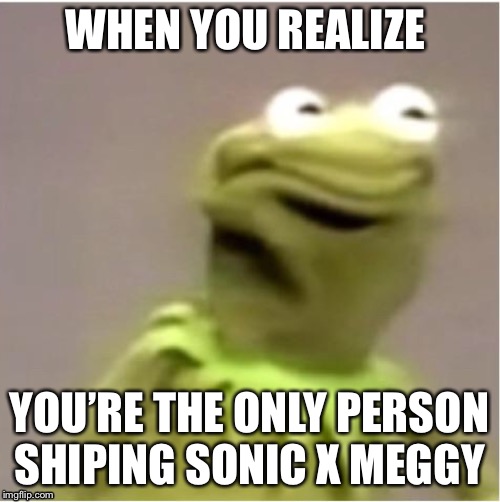 Kirmit Triggerd | WHEN YOU REALIZE; YOU’RE THE ONLY PERSON SHIPING SONIC X MEGGY | image tagged in kirmit triggerd | made w/ Imgflip meme maker
