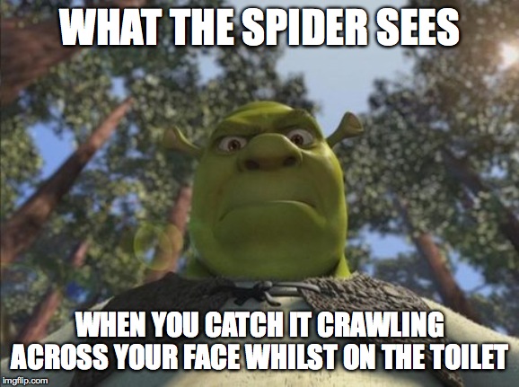 Swampy angry shrek | WHAT THE SPIDER SEES; WHEN YOU CATCH IT CRAWLING ACROSS YOUR FACE WHILST ON THE TOILET | image tagged in swampy angry shrek | made w/ Imgflip meme maker