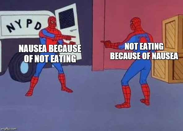 Totally didn't steal this joke, haha | NAUSEA BECAUSE OF NOT EATING; NOT EATING BECAUSE OF NAUSEA | image tagged in spiderman mirror | made w/ Imgflip meme maker