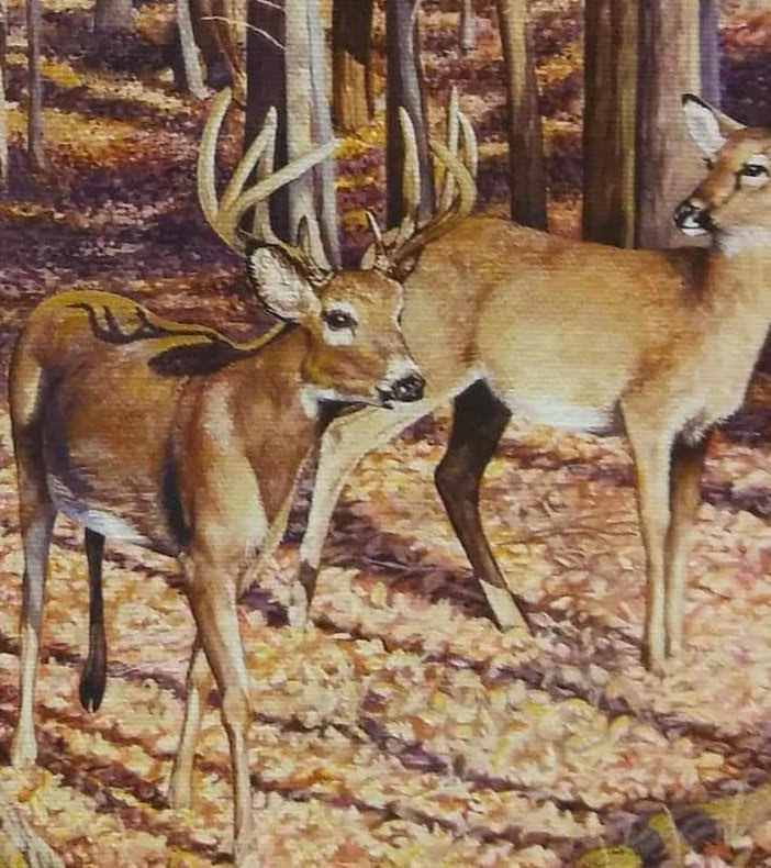 Deer Season Blank Meme Template