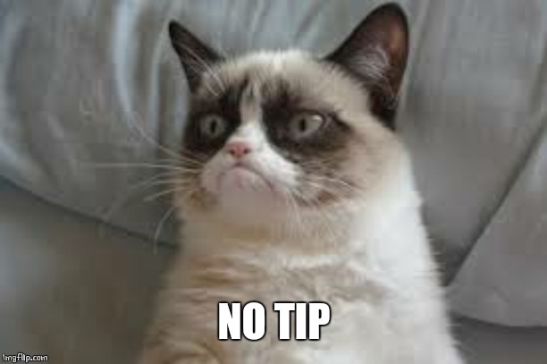 Grumpy cat | NO TIP | image tagged in grumpy cat | made w/ Imgflip meme maker