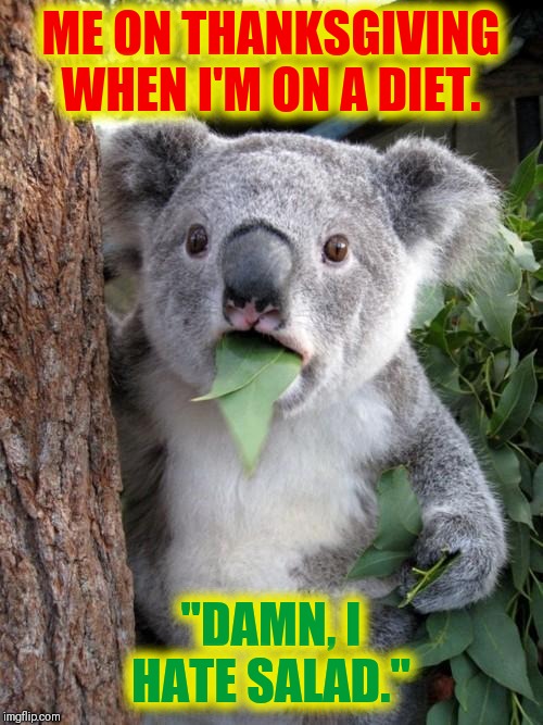 Happy Turkey Day, Flippers | ME ON THANKSGIVING WHEN I'M ON A DIET. "DAMN, I HATE SALAD." | image tagged in surprised koala,vince vance,imgflip users,happy thanksgiving,gobble gobble,happy bird day | made w/ Imgflip meme maker