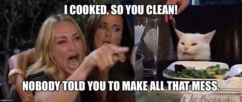 woman yelling at cat | I COOKED, SO YOU CLEAN! NOBODY TOLD YOU TO MAKE ALL THAT MESS. | image tagged in woman yelling at cat | made w/ Imgflip meme maker